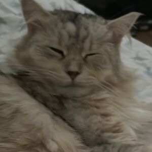 Meet your Posher, Marika